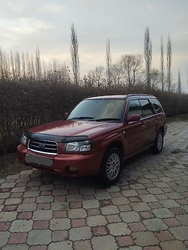 Subaru: Subaru Forester: 2002 г., 2 л, Автомат, Бензин, Универсал — 2