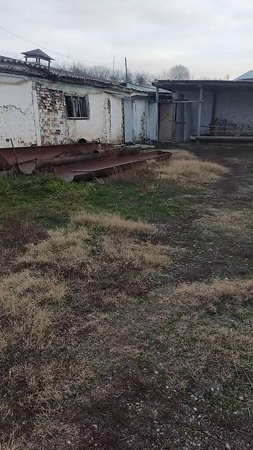 Продажа другой коммерческой недвижимости: 🔥 Фуркат–Мады аймагында инвестициялык мүмкүнчүлүк! 🎥 Видео — 18