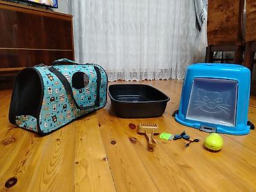 лежанка для кота: Ev pişiyi üçün aksesuar dəsti KOMPLEKT SATILIR !!! - Qapalı pişik — 2