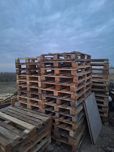 европоддон деревянный: Поддон Б/у, В наличии — 2