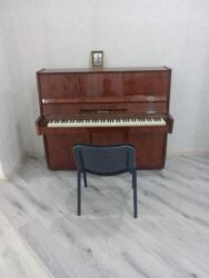 Akkordeonlar: Kuban pianino satilir. Kokludur. Tecili satilmalidir 200 manat. Ecemi lalafo.az -da Akkordeonlar: Kuban pianino satilir. Kokludur. Tecili satilmalidir 200 manat. Ecemi