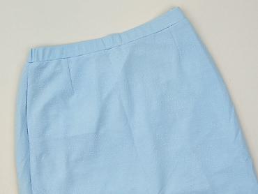sukienka chabrowa plus size: Spódnica damska, rozmiar 3XL — 1