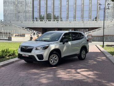 Subaru: Subaru Forester: 2019 г., 2.5 л, Вариатор, Бензин, Кроссовер
