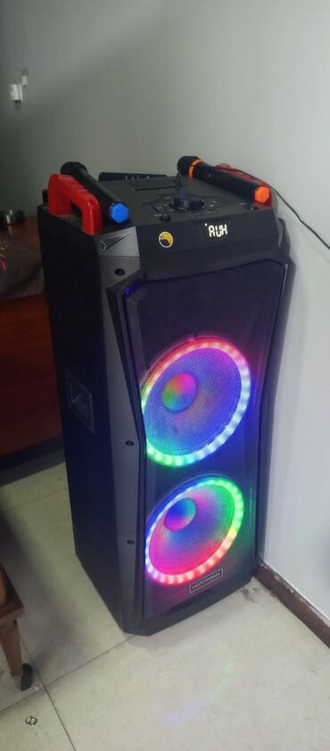 Mikrofonlar: Hoffmann portativ akustik sistemi – güclü səs və karaoke üçün tam