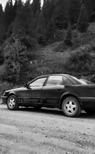 Audi: Audi 100: 1991 г., 2.6 л, Механика, Бензин, Седан — 6