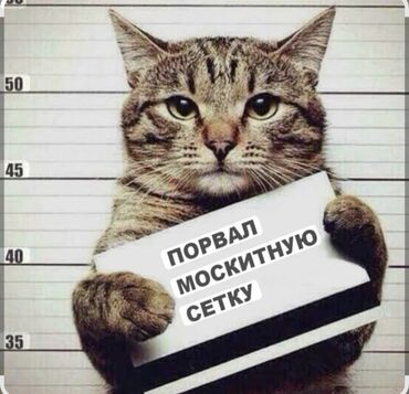 Jalüzlər: Jaluz-agcaqanaq toru. Pəncərə və qapılar üçün ağcaqanad torları — 4