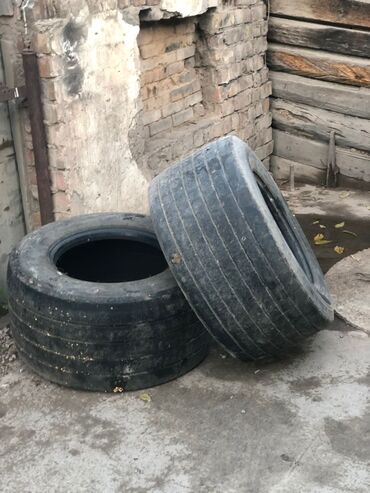 шина для тико: Шиналар 45 / R 19.5, Жуп, Жүк ташуучу унаалар/Автобустар, Hankook