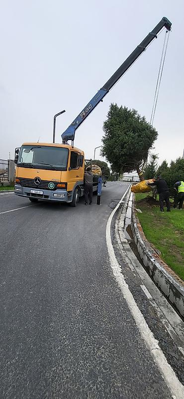 atego: Услуги кран манипулятора - Подъем и погрузка/разгрузка негабаритных и — 1