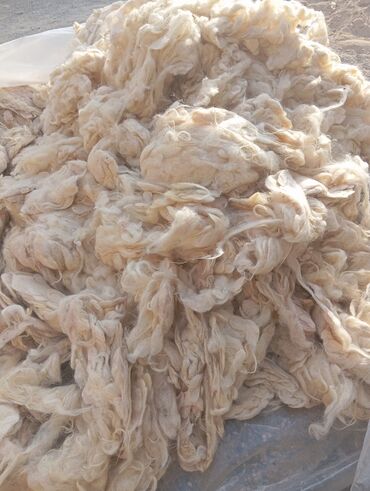 İşıqlandırma: Məhsul: Təbii qoyun yunu (yuma və emal üçün xam yun) Təsvir: - Açıq