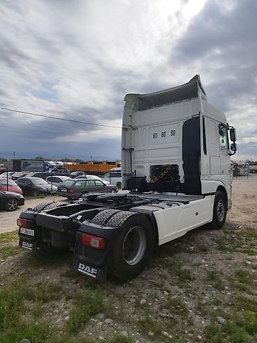 Тягачи: Тягач, DAF, 2014 г., Тентованный — 13