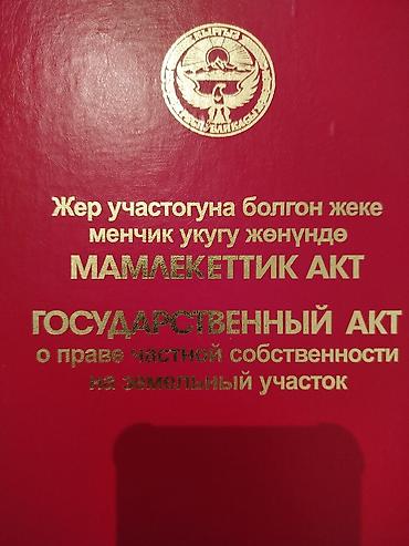 ысык куле: 4 соток, Курулуш, Кызыл китеп — 1