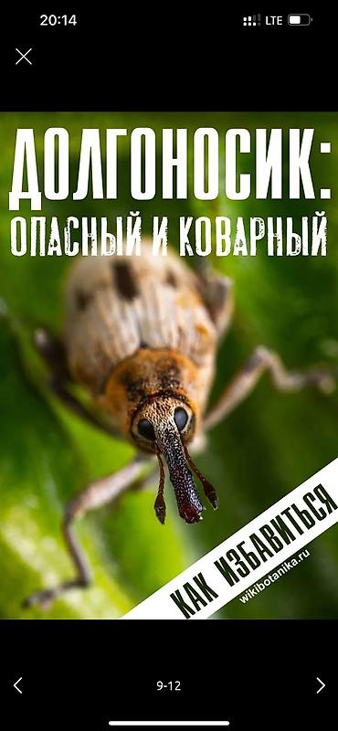 Дворники, садовники: 🌱Я садовник обработка сада ранее весенней обработка плодовых — 9