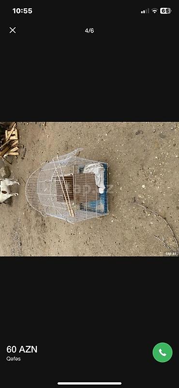qus yarim tip: Quş qəfəsi - Material: metal tel karkas, plastik altlıq - Forma: üst — 3