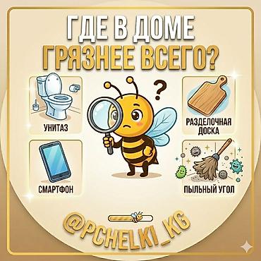 услуга уборка офиса: Профессиональный клининг и уют от «PCHELKI_KG» Чистота — это не — 3