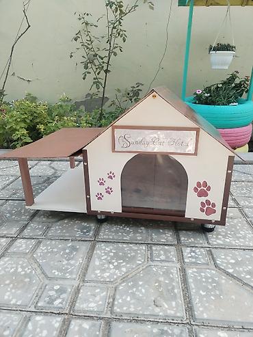 paroda pisik: Taxtadan hazırlanmış və yem qabları üçün artırmalı sahəsi olan pişik — 1