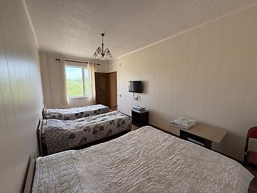 centr park: Гостевой дом на Иссык-Куле, ФУРОР, Baytur Resort & Spa, Бостери, 4 места, Посуточно — 9
