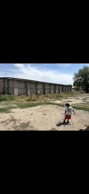 здаю склад: Сдается ангар + склад 500м2 - село мраморный -крыша новая черепица — 9