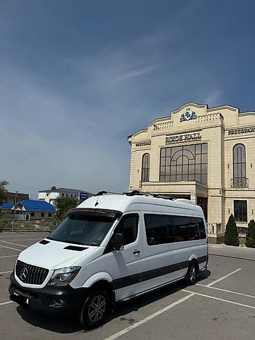 Автобусы и маршрутки: Автобус, Setra, 2020 г. — 7
