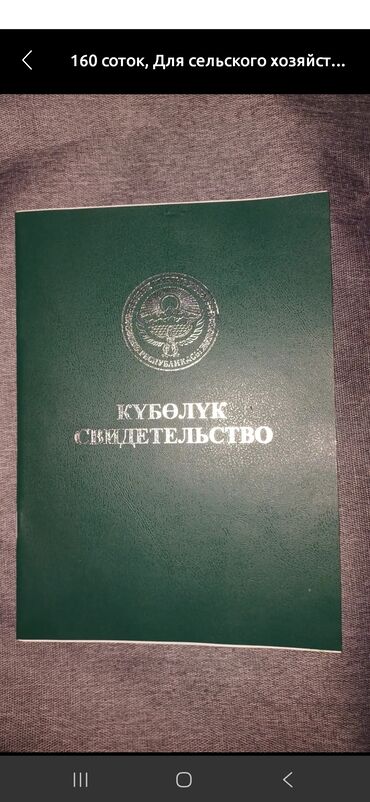 дом земельный: 126 соток, Для сельского хозяйства, Договор купли-продажи