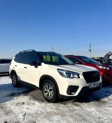 дверь на субару легаси: Subaru Forester: 2020 г., 2.5 л, Вариатор, Бензин, Внедорожник