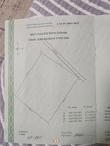ысык куле: 2900 соток, Кызыл китеп — 2