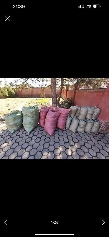 Дворники, садовники: 🌱Я садовник приходящий раз в неделю уборку сада генеральный уборка at lalafo.kg — 5 Дворники, садовники: 🌱Я садовник приходящий раз в неделю уборку сада генеральный уборка — 5