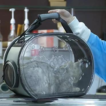 Зоотовары: Зоотовары. животные. Переноска номер 3размер 66.47.46 контейнер для at lalafo.kg — 10 Зоотовары: Зоотовары. животные. Переноска номер 3размер 66.47.46 контейнер для — 10