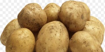 стол с регулировкой высоты бишкек: Картошка В розницу