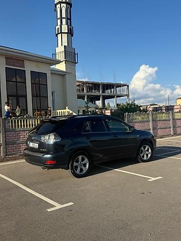 10 лет в одних руках: Lexus RX: 2003 г., 3.3 л, Автомат, Газ, Кроссовер — 1