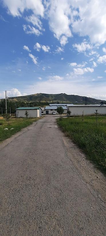 Лошади, кони: Продаю | Кобыла (самка), Конь (самец), Жеребец — 7