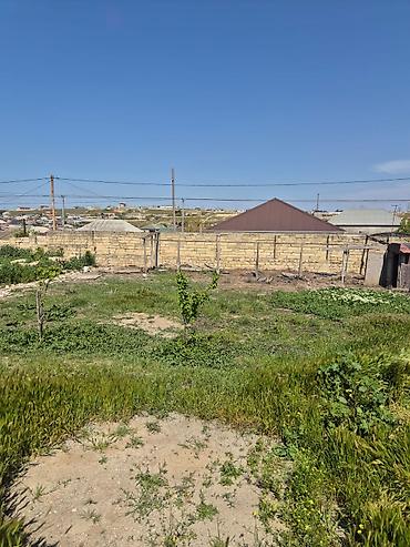 Torpaq: 4 sot, Tikinti, Kupça (Çıxarış) — 3