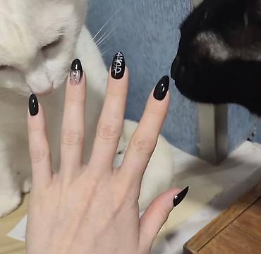 Маникюр, педикюр: ✨ Выездной мастер маникюра 🏙️ 🏡💖 Маникюр на дому 💰 Прайс: 🧼✨ — 19