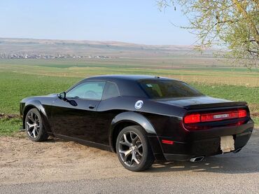Dodge: Dodge Challenger: 2014 г., 3.6 л, Типтроник, Бензин, Купе — 4