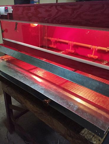 Товары и оборудование для с/х животных: Продаю брудер для выращивания цыплят полный комплект сделан из фанеры — 3