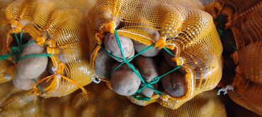 чипсы принглс бишкек: Картошка Пикассо