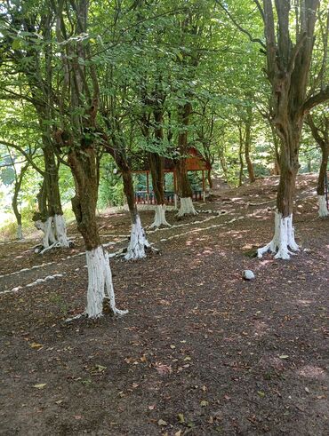 Uzunmüddətli kirayə evlər: 3000 kv. m, 3 otaqlı -da lalafo.az — 11 Uzunmüddətli kirayə evlər: 3000 kv. m, 3 otaqlı — 11