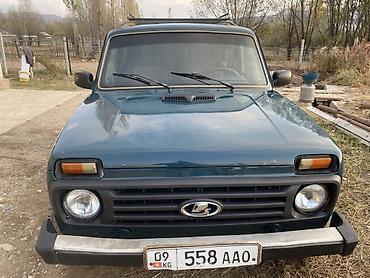 golf polo: ВАЗ (ЛАДА) 4x4 Нива: 2004 г., 1.7 л, Механика, Бензин, Внедорожник — 4