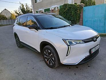 телефон w210: Weltmeister W6, 2021 г., 199500 км, Передний, В наличии — 2