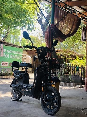 Электрический мопед/скутер городского типа - Компактная рама с низкой at lalafo.kg Электрический мопед/скутер городского типа - Компактная рама с низкой