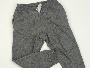 spodnie dresowe dla wysokich: Sweatpants, 3-4 years, 98/104, condition - Satisfying