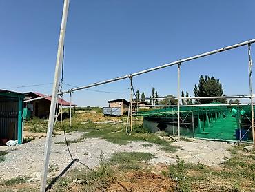 Продажа другой коммерческой недвижимости: 🐟 Продаётся действующее рыбное хозяйство с развитой инфраструктурой 📍 — 24