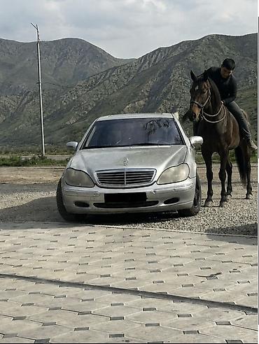 mersedes e class: Mercedes-Benz S-Class: 1998 г., 4.3 л, Автомат, Бензин, Седан — 4