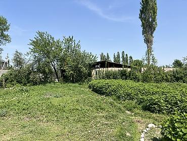 Продажа коттеджей и домов: Дом с кадастровым планом - Площадь по документам: 15 200 кв - Форма — 10