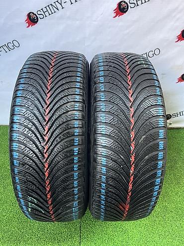 mishlen: Шины 205 / 55 / R 16, Всесезонная, Б/у, Пара, Легковые, Michelin — 1