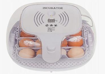 Товары и оборудование для с/х животных: Инкубатор на 16 яиц #Инкубатор #БизнесИнкубатор — 8
