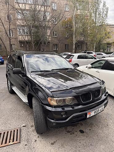 машина обмен на скот: BMW X5: 2002 г., 3 л, Автомат, Дизель — 4