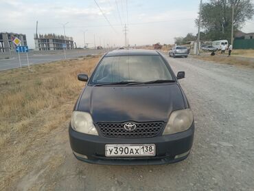 Toyota: Черный автомобиль Toyota Corolla runx с тонированными задними стеклами