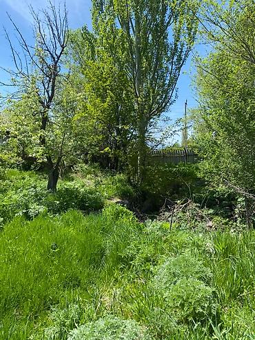 Продажа коттеджей и домов: 🏡 ҮЙ САТЫЛАТ | Түп жергеси Түп жергесинде 16 сотых жер тилкеси менен at lalafo.kg — 5 Продажа коттеджей и домов: 🏡 ҮЙ САТЫЛАТ | Түп жергеси Түп жергесинде 16 сотых жер тилкеси менен — 5