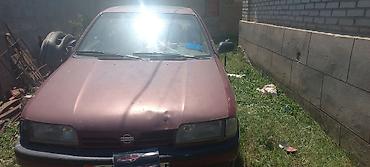 тунуке бу: Nissan Primera: 1994 г. — 8