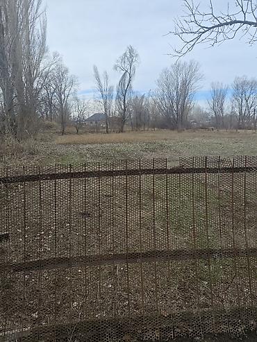 Продажа коттеджей и домов: Продается дом с участком . с.Ново Николаевка ул. Демьяна бедного 18 — 5